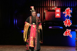 黄梅戏全剧 梁山伯与祝英台 桃李无言等19部打包下载