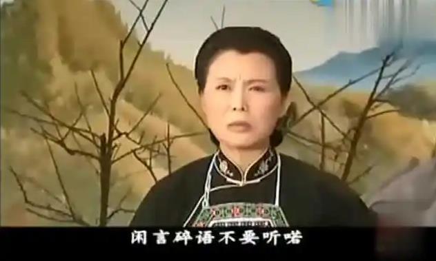 黄梅戏全剧 恶媳妇